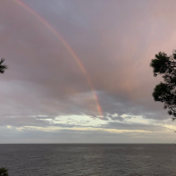 291_00010986-PHOTO-2020-08-29-23-23-22