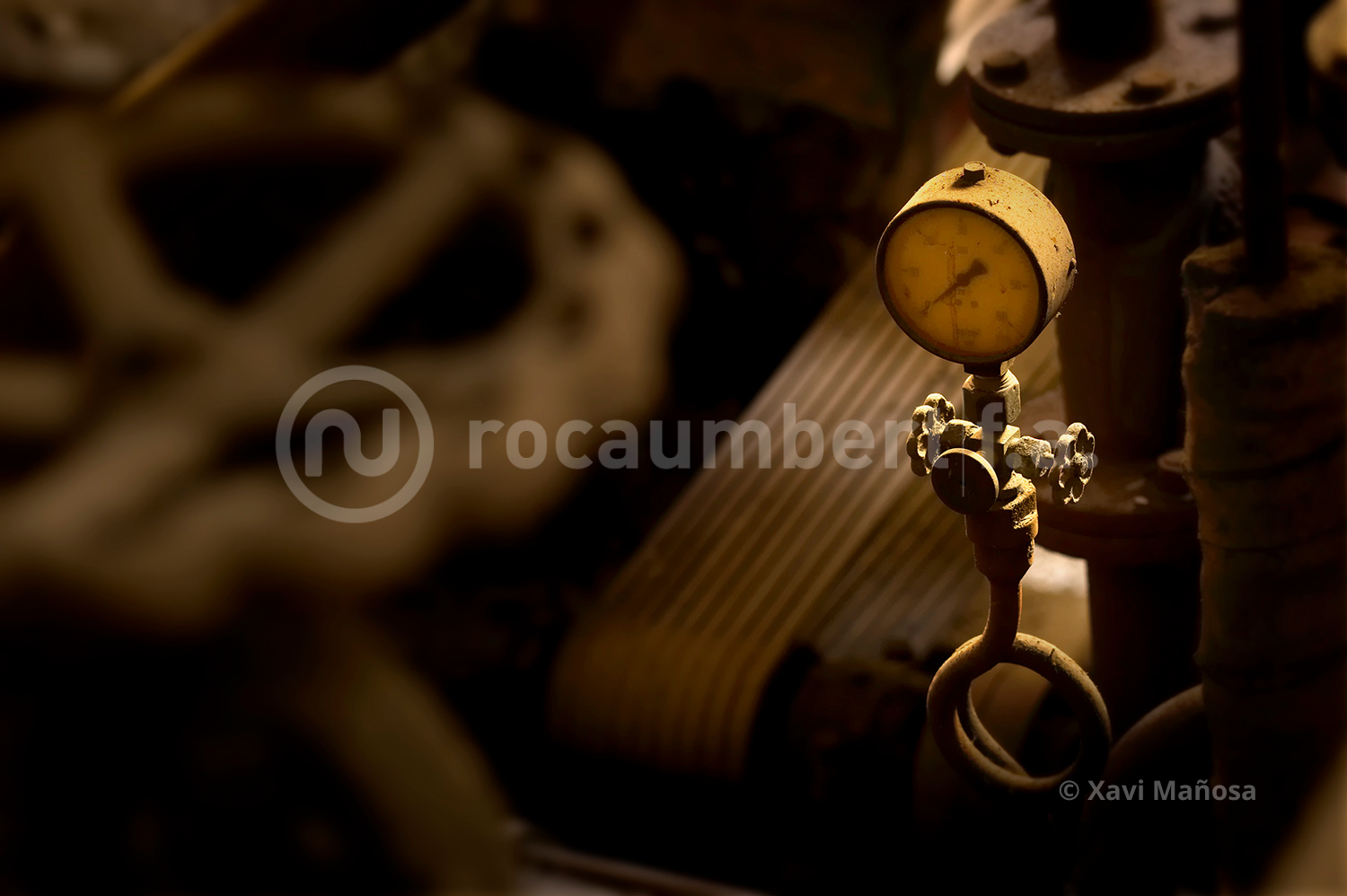 Mirades Xavi Mañosa | © Xavi Mañosa