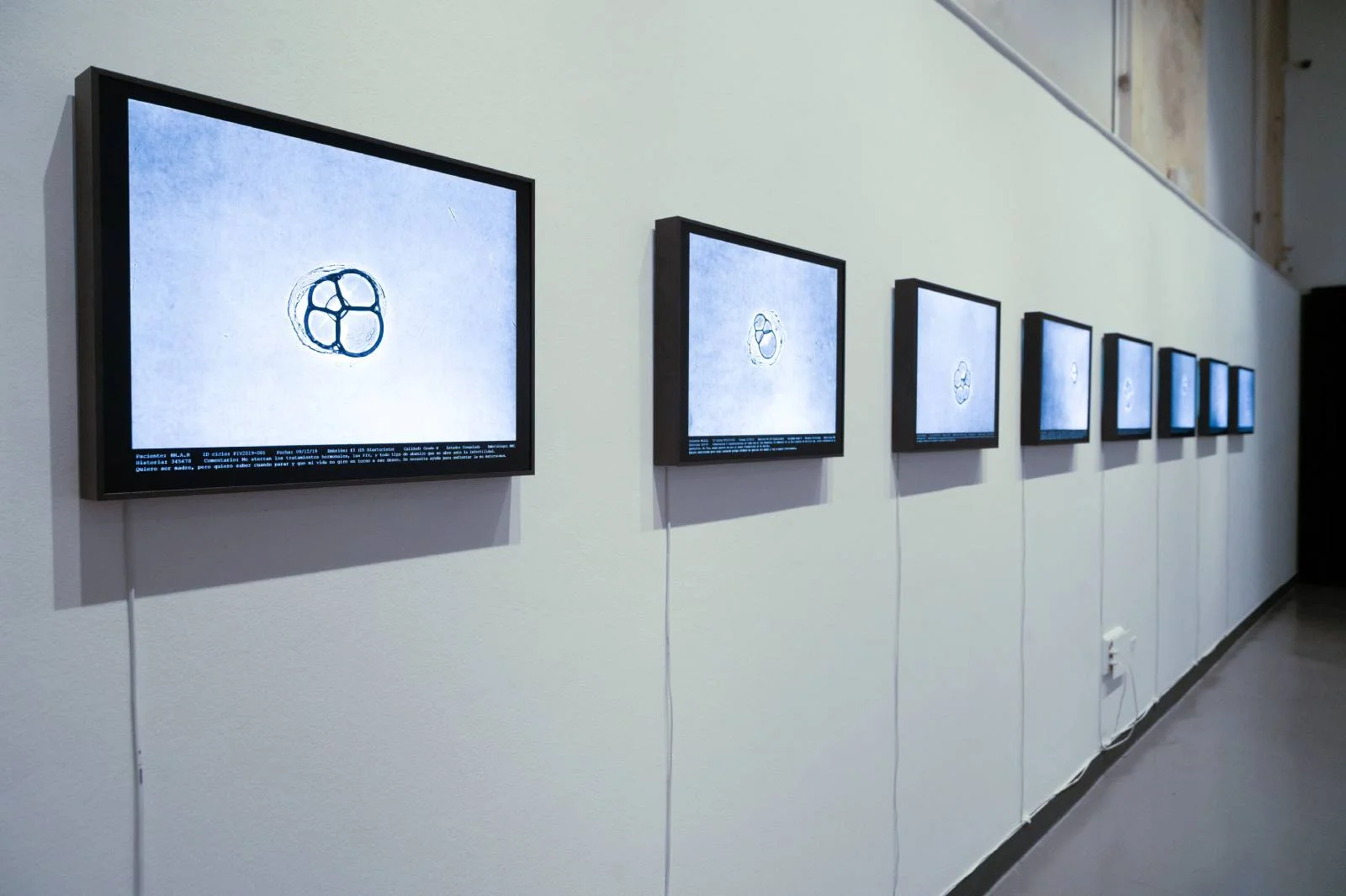 F.I.V., Montse Morcate | © Toni Torrillas - Roca Umbert Fàbrica de les Arts