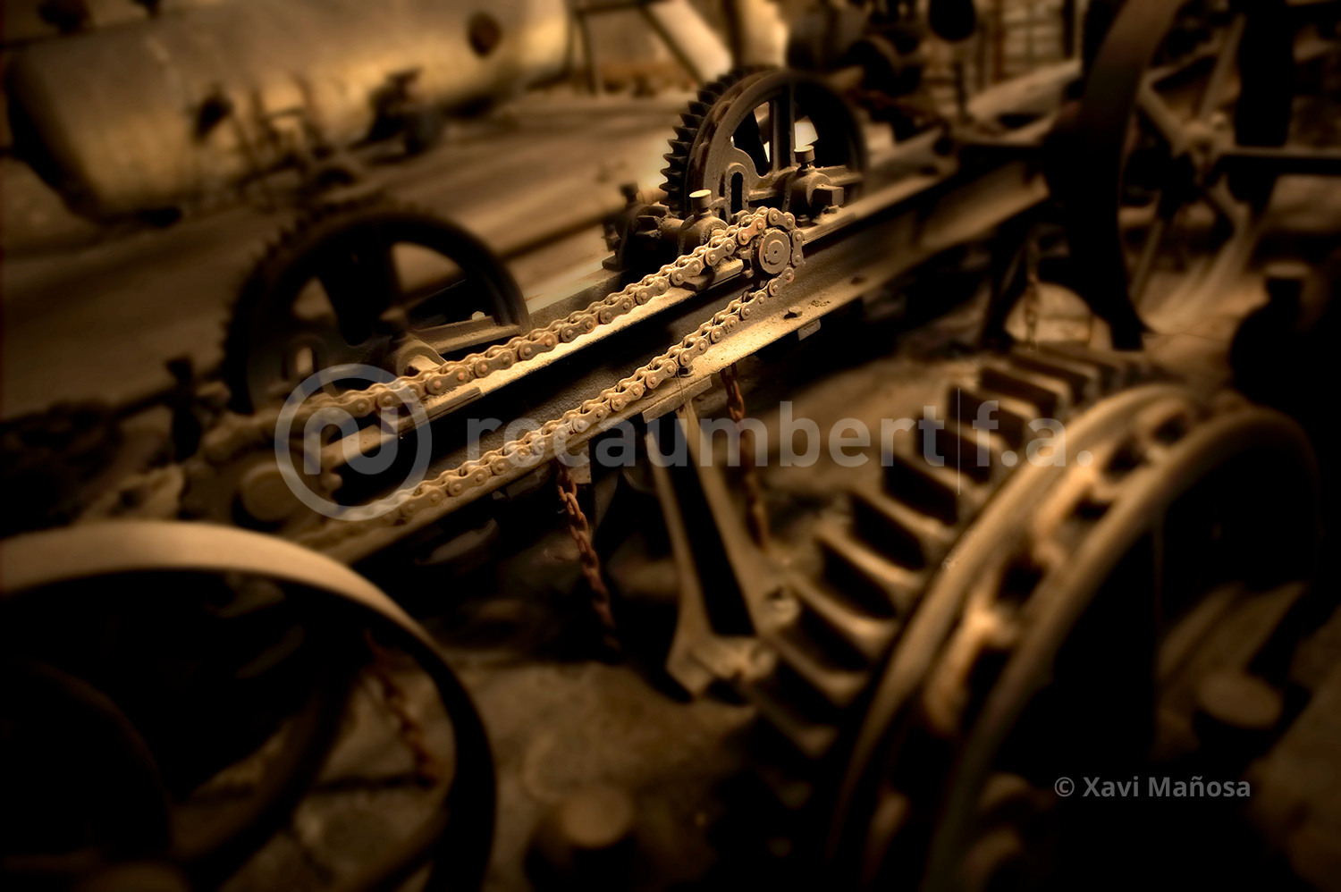 Mirades Xavi Mañosa