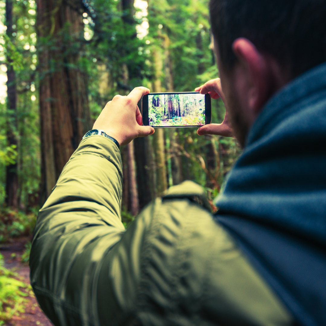 Taller d'iniciació a la fotografia amb el mòbil