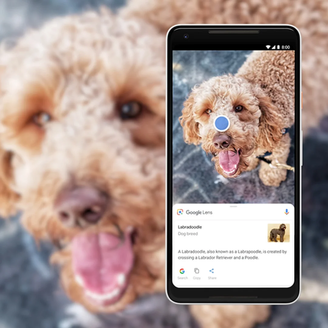 Taller "Google Lens i altres apps per explorar el món"