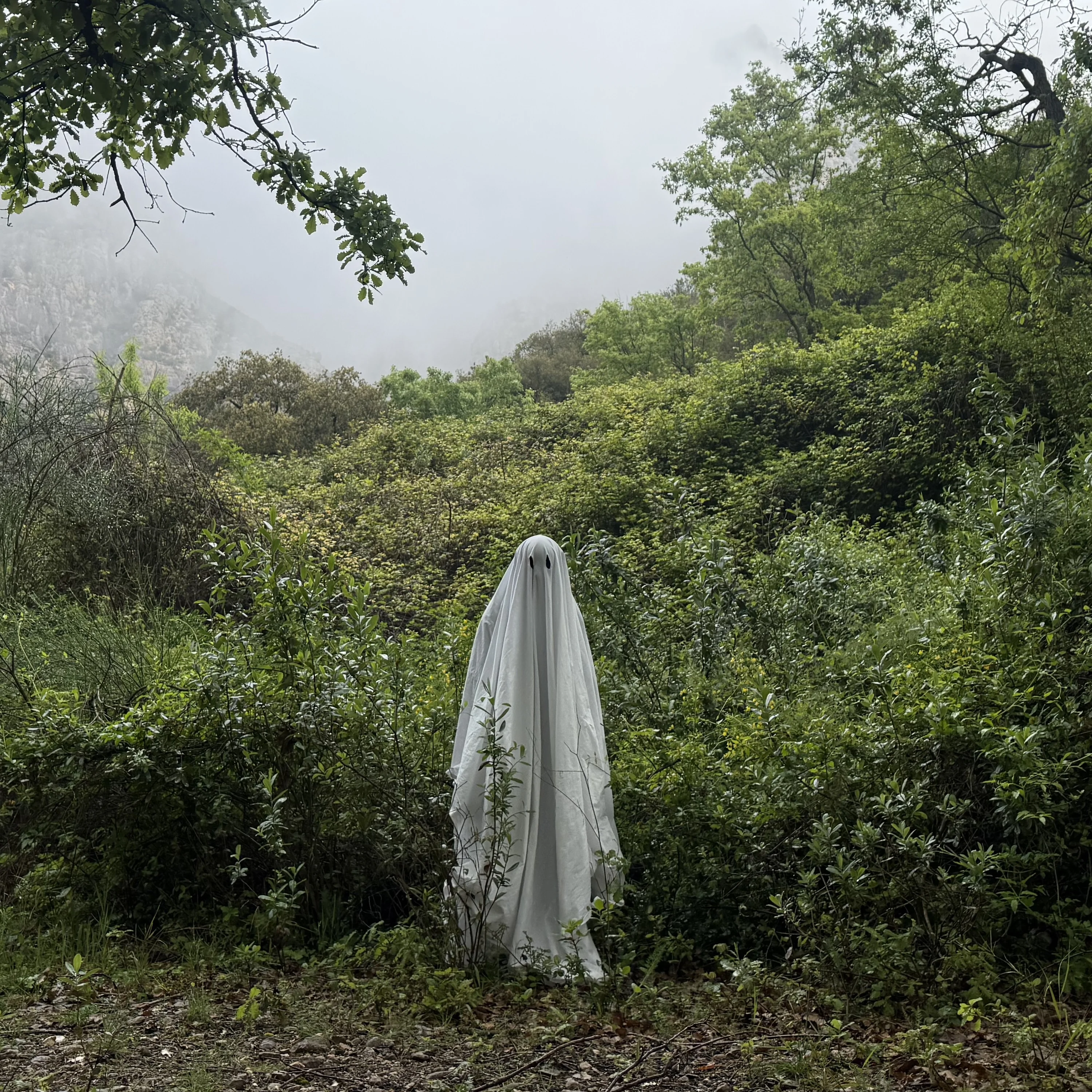 Ferran Palau | © Louise Sansom