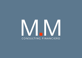 MM Consulting 2004