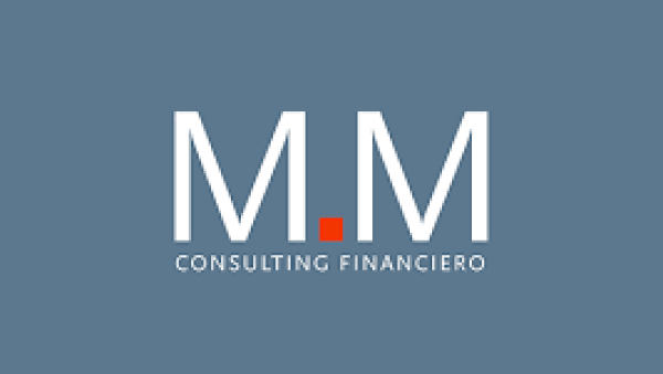 MM Consulting 2004