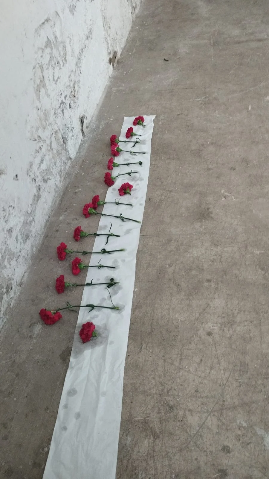 SER, dansa a càrrec de Liant la Troca