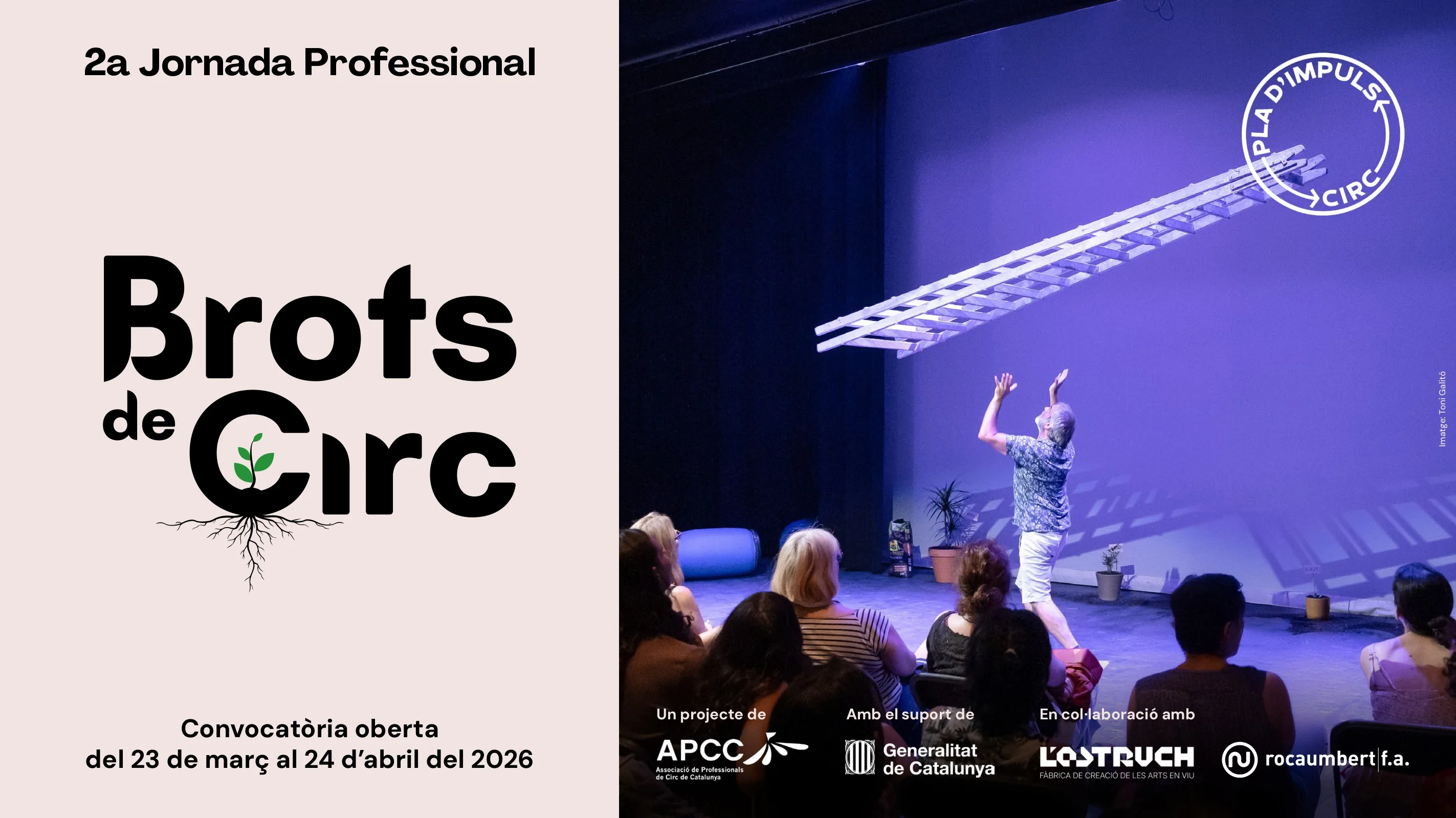 S’obre la convocatòria per participar a la 2a Jornada Professional Brots de Circ 2026