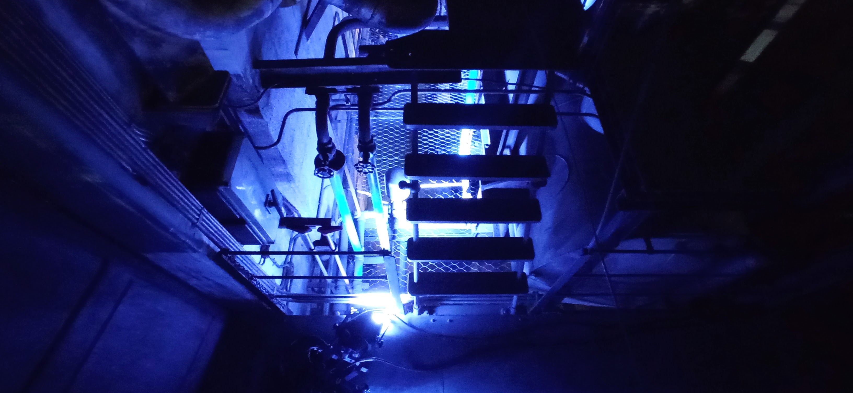 Sereno | © Teresa Llordés