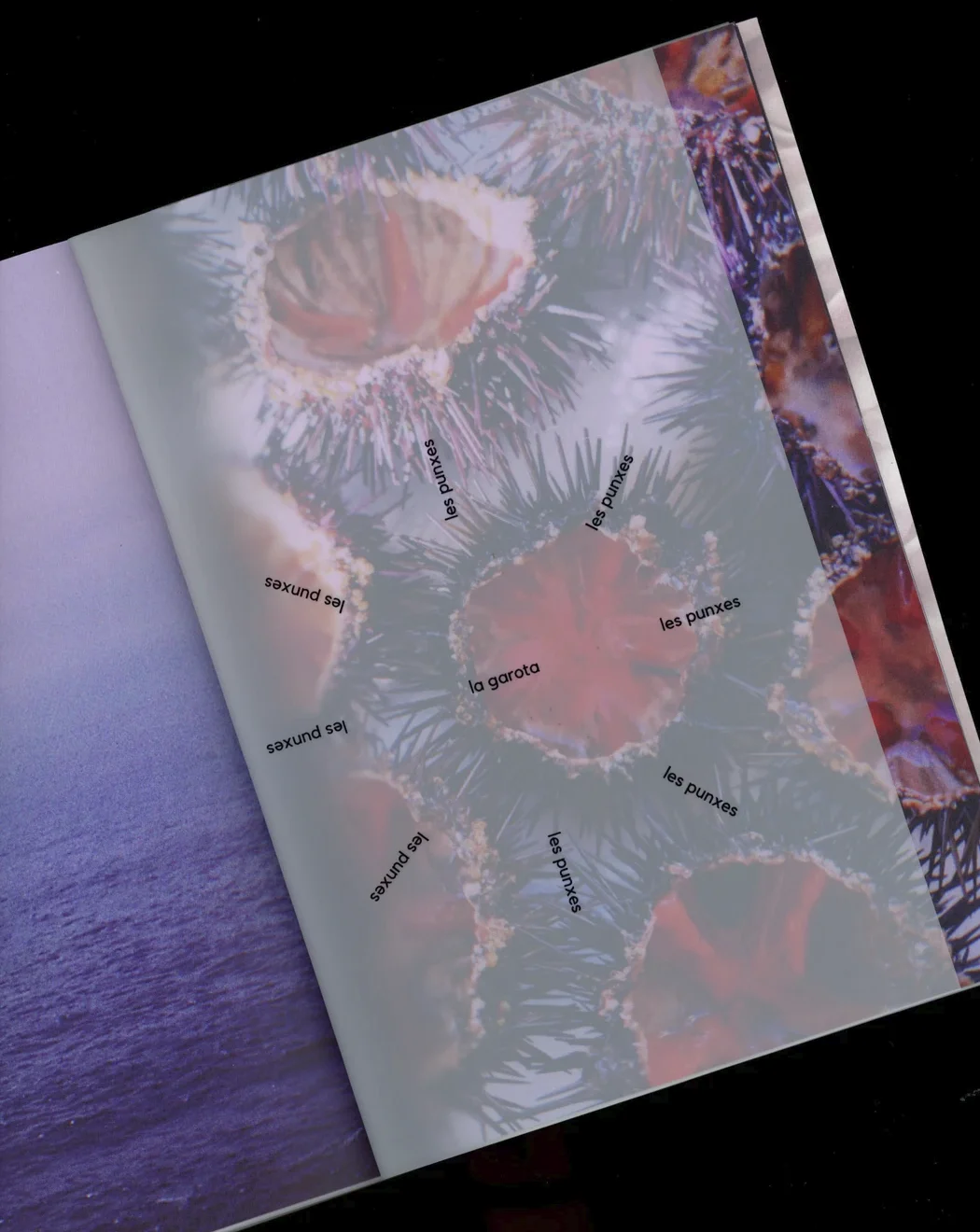 Taller intensiu d’autopublicació de fotollibres i llibres d’artista  | © Mercis Rosetti, 